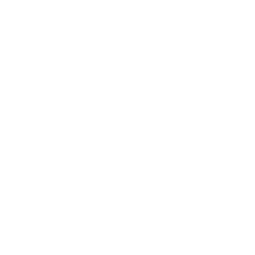 icon_safety